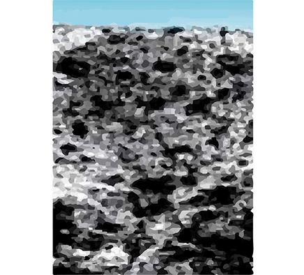 kartinka1